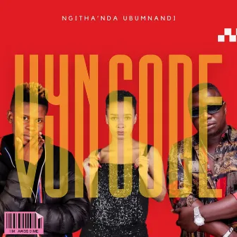 Ngitha'nda Ubumnandi by VYN CODE