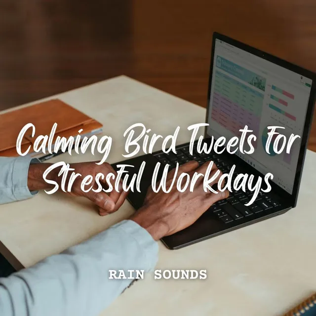 Rain Sounds: Calming Bird Tweets for Stressful Workdays