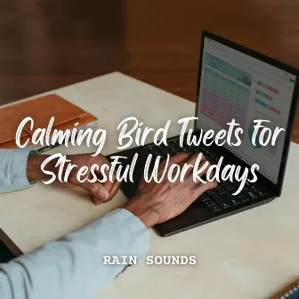 Rain Sounds: Calming Bird Tweets for Stressful Workdays by Tibetan Bowls