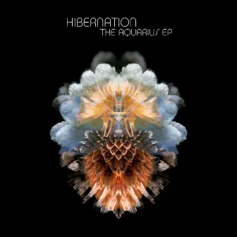 The Aquarius EP by Hibernation