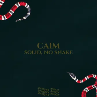 SOLID, NO SNAKE! by caim