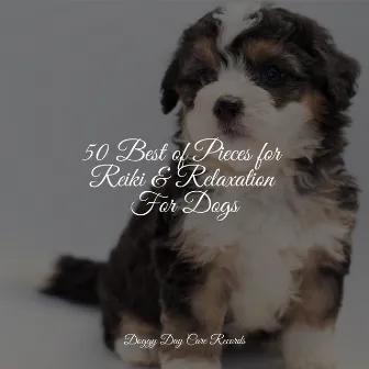 50 Best of Pieces for Reiki & Relaxation For Dogs by Jazz Music for Dogs