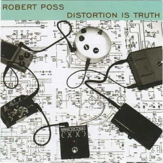 Distortion Is Truth by Robert Poss