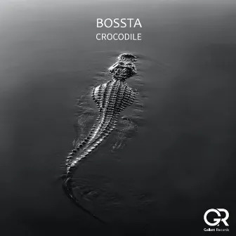 Crocodile by Bossta