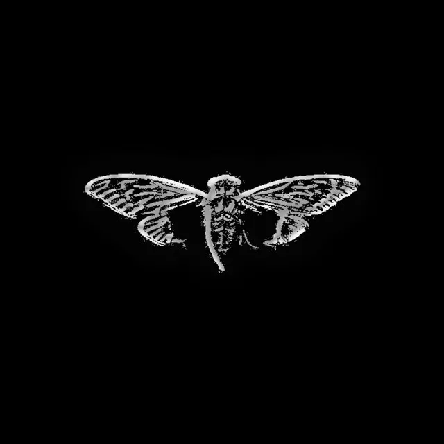 Cicada 3301