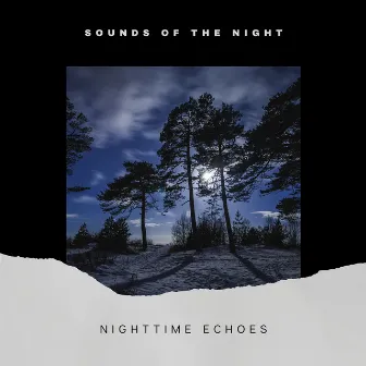 Nighttime Echoes: Evening Ambiance by Sounds of the Night