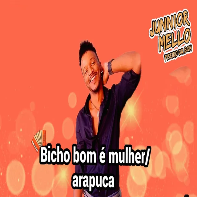 Bicho Bom É Mulher / Arapuca