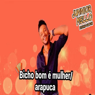 Bicho Bom É Mulher / Arapuca by Junnior Mello