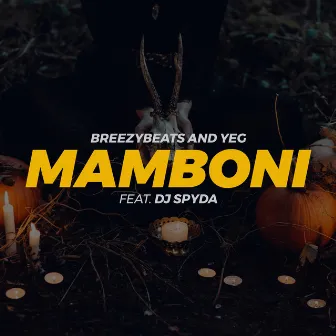 Mamboni by BreezyBeats