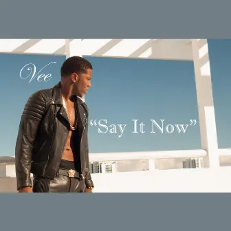 Say It Now by Vee