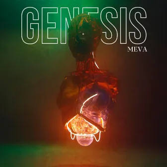 Genesis by Meva