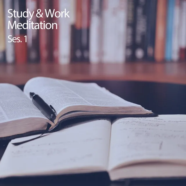 Study & Work Meditation Ses. 1