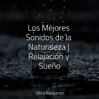 Los Mejores Sonidos de la Naturaleza | Relajación y Sueño by Musicas Crianças