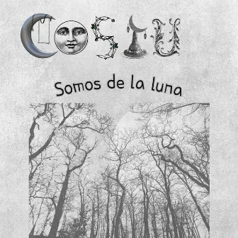 Somos de la Luna by Costu