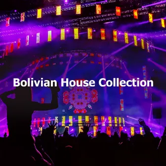 Bolivian House Collection by Unknown Artist