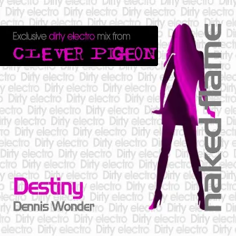 Destiny (Clever Pigeon Remix) by Dennis Wonder