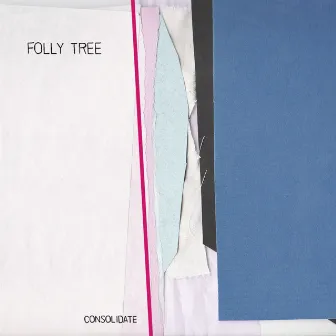 Consolidate by Folly Tree