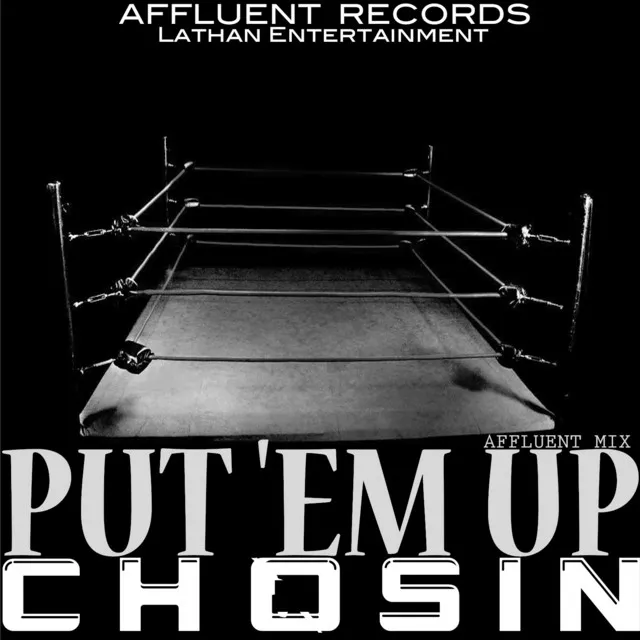 Put 'Em Up (Affluent Mix)