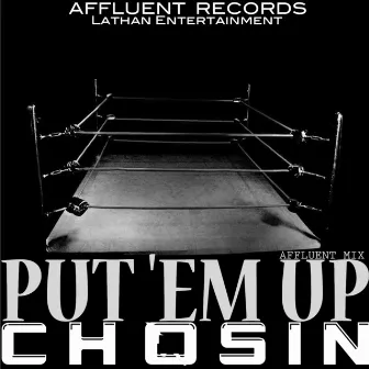 Put 'Em Up (Affluent Mix) by Chosin