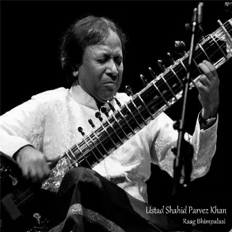 Raag Bhimpalasi by Shahid Parvez