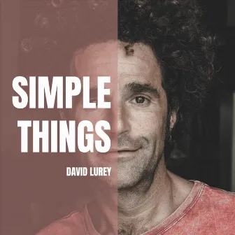 Simple Things by David Lurey