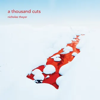 a thousand cuts by Nicholas Thayer