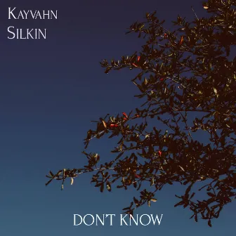 Don't Know by Kayvahn