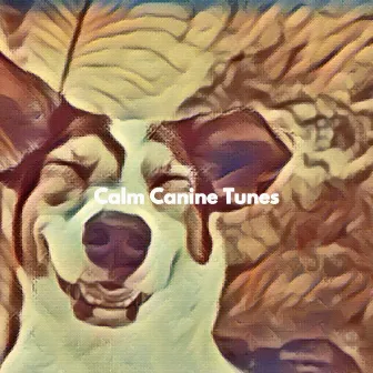 Calm Canine Tunes by Musica para Hoteles Ambiente