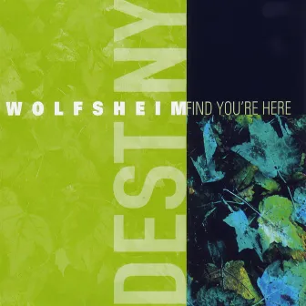 Find You're Here by Wolfsheim