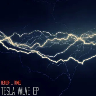 Tesla Valve by Renso Ferrari