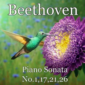 Piano Sonata No.1,17,21,26 by Pianozone