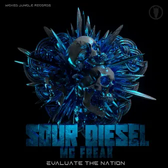 Evaluate the Nation by Sour Diesel