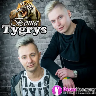 Tygrys (Radio Edit) by Boma