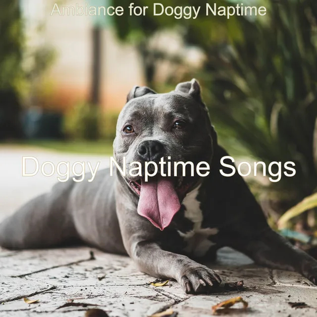 Ambiance for Doggy Naptime