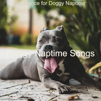 Ambiance for Doggy Naptime by Doggy Naptime Songs