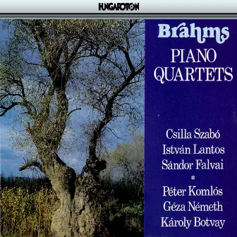 Brahms: Piano Quartets Nos. 1-3 by Géza Németh