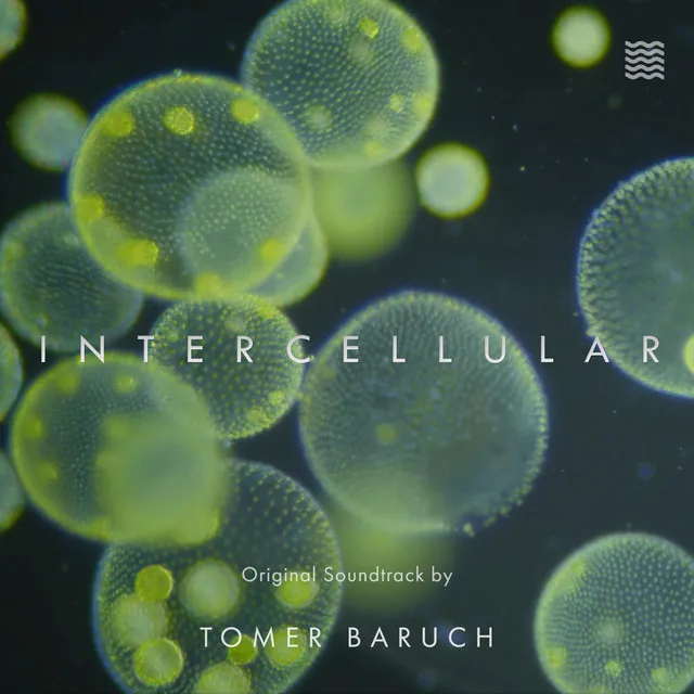 Intercellular