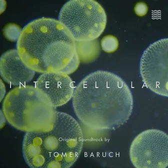 Intercellular by Tomer Baruch