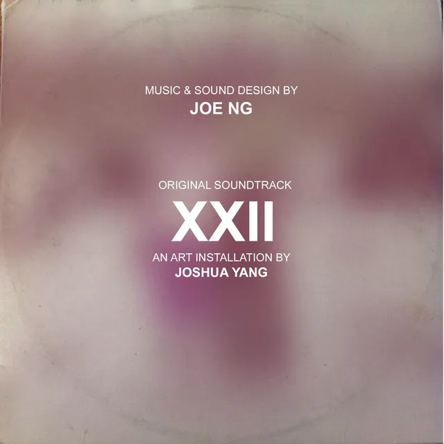 Xxii (Original Art Installation Soundtrack)