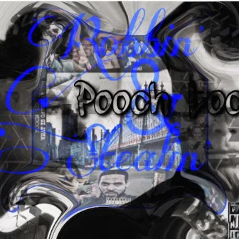 Robbin' & Stealin' by Pooch Loc