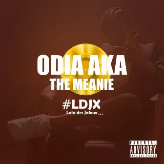 #LoinDesJalouX by Odia The Meanie