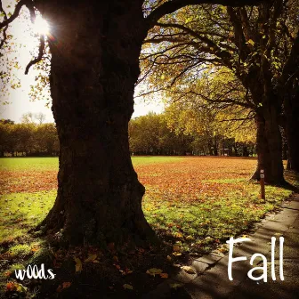 Fall EP by w00ds