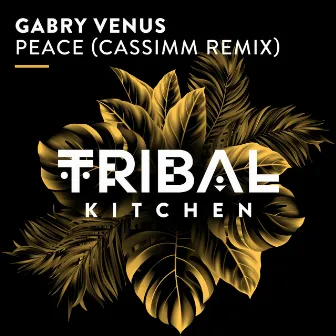 Peace (CASSIMM Remix) by Gabry Venus