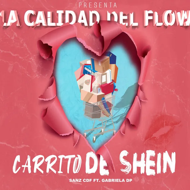 Carrito De Shein