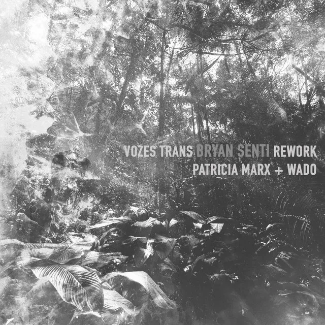 Vozes Trans (Bryan Senti Rework)