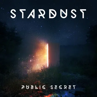 Stardust by Public Secret