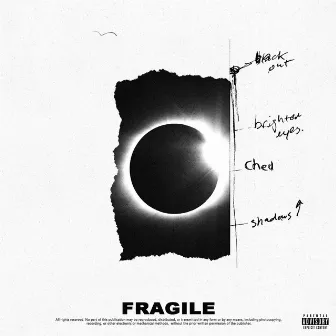 Fragile by Ched