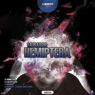 Hemiptera EP by Tapiador