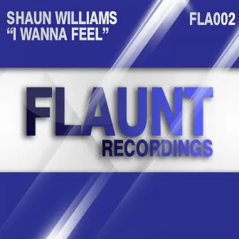 I Wanna Feel by Shaun Williams