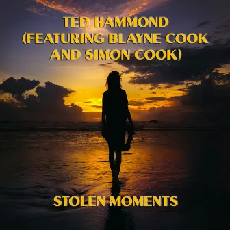 Stolen Moments by Ted Hammond